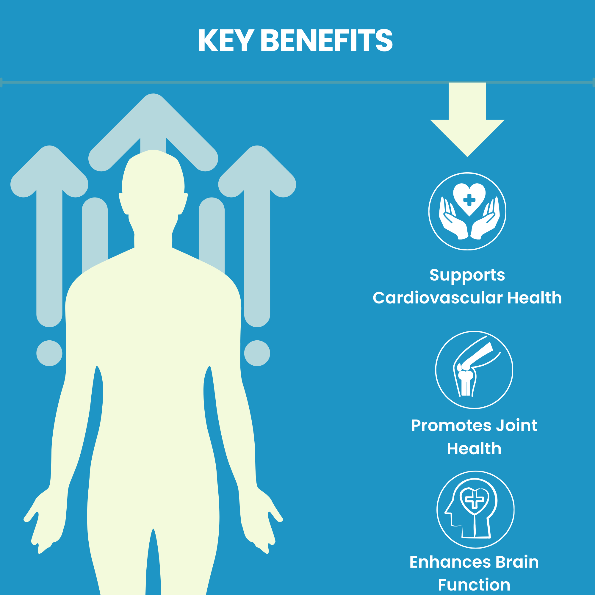 Optimal Omega 3, 6, & 9 Fish Oil - 90 Softgels